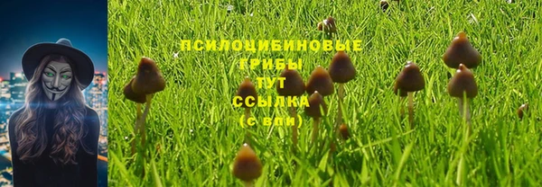 mix Алексеевка