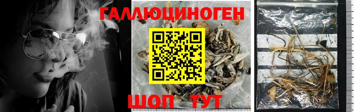 Псилоцибиновые грибы мухоморы Кондопога